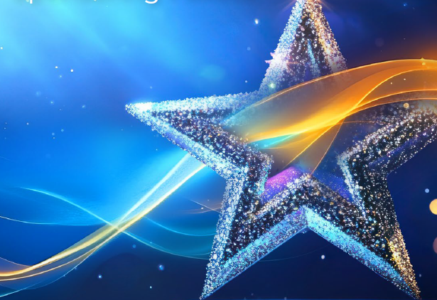 Awards for Excellence Sponsoring Pakete